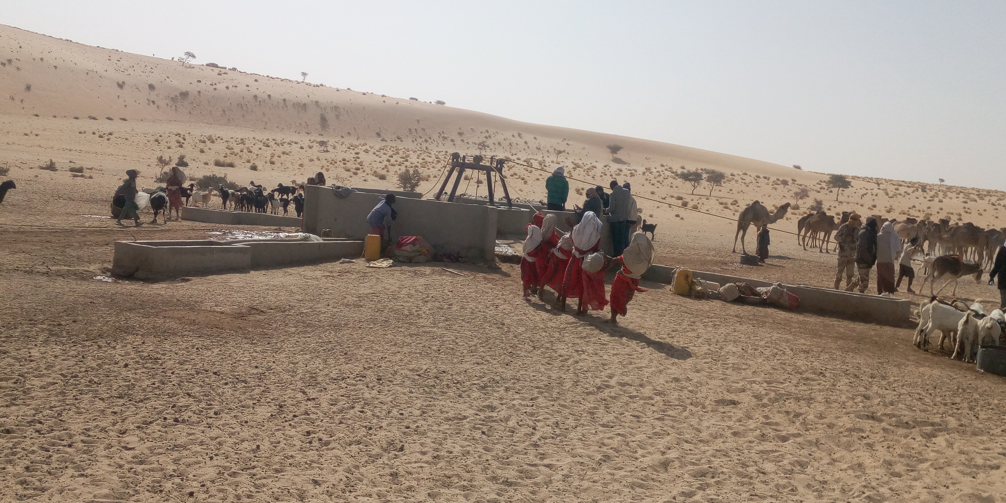 Puit Albouga RSE 2019
